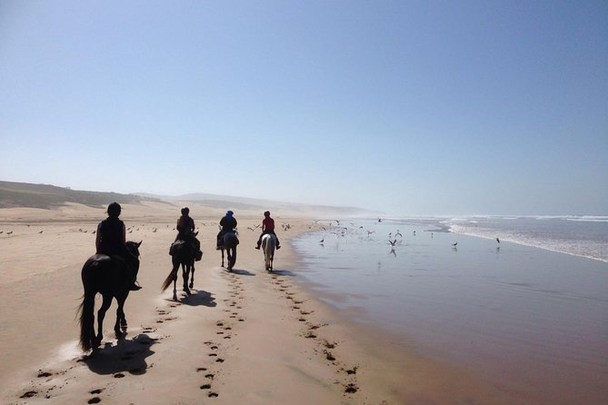 2 Hours Horse Ride Beach and Dunes in Essaouira Morocco - Meeting Point and Pickup
