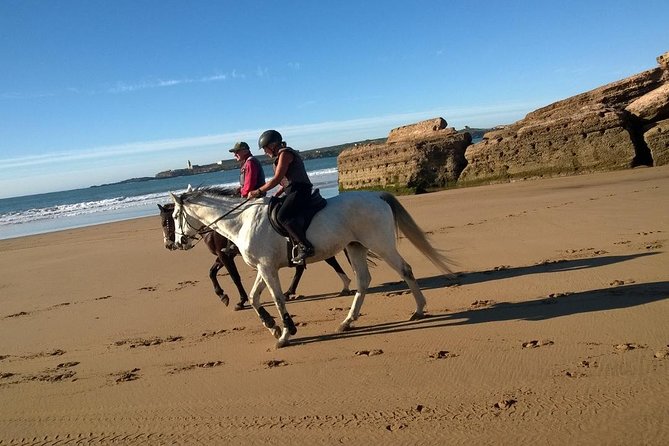 2 Hours Horse Ride Beach and Dunes in Essaouira Morocco - Beginner-Friendly Horseback Riding