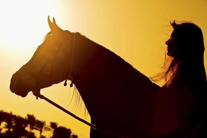 2 Hours Horse Riding 1H on the Sea and 1H in Desert From Hurghada - Desert Horse Riding
