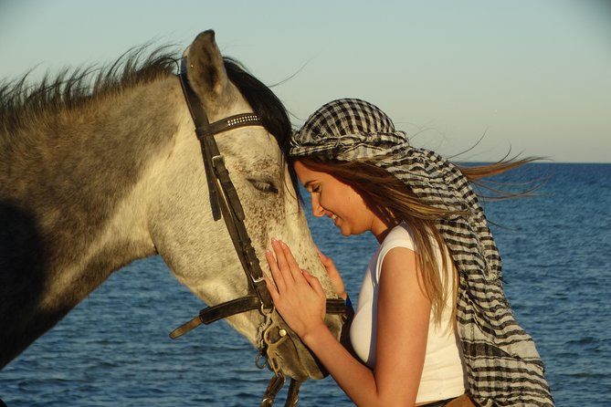 2 Hours Horse Riding 1H on the Sea and 1H in Desert From Hurghada - Transportation and Hotel Services