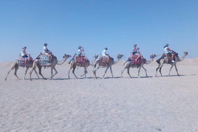 2 Hours Horse Riding on the Sea and Desert- Hurghada - Inclusions