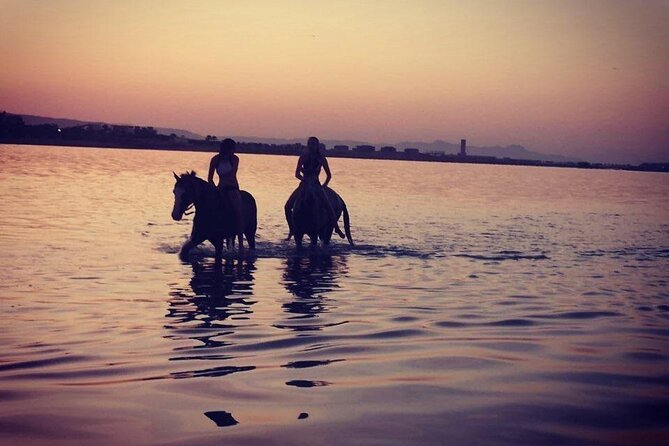 2 Hours Horse Riding on the Sea and Desert- Hurghada - Meeting and Pickup