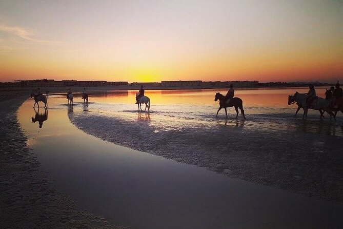 2 Hours Horse Riding on the Sea and Desert- Hurghada - Experience Highlights