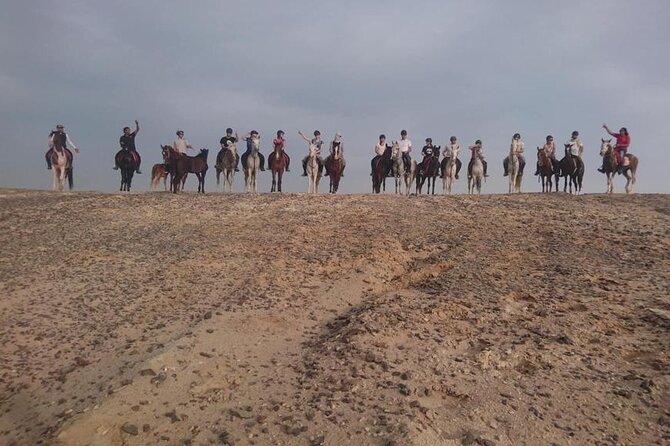 2 Hours Horse Riding on the Sea and Desert- Hurghada - Safety Precautions