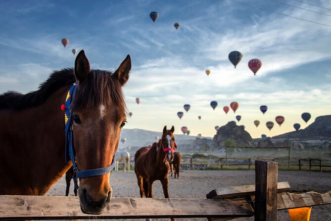 2 Hours Horse Riding Tour in Red and Rose Valley - Inclusions