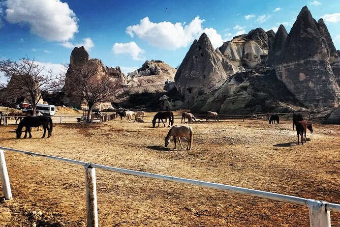 2 Hours Horse Riding Tour in Red and Rose Valley - Tour Duration and Location