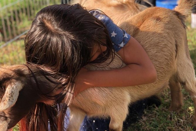 2 Hours Horseback Riding Adventure in Agoura Hills - Pricing and Booking Details