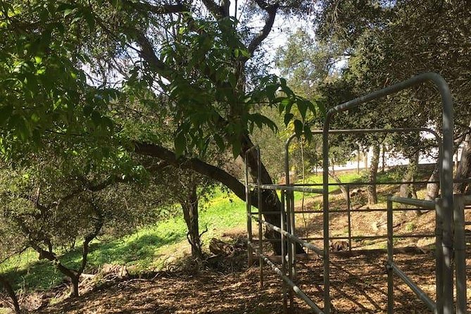 2 Hours Horseback Riding Adventure in Agoura Hills - Hands-on Horsemanship Experience