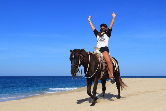 2 Hours Horseback Riding Adventure in Cabo - Important Considerations