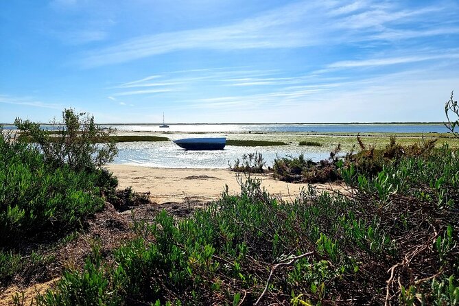 2 Hours Kayak Island Tour in the Natural Park of Ria Formosa - Exploring the Ria Formosa Landscape