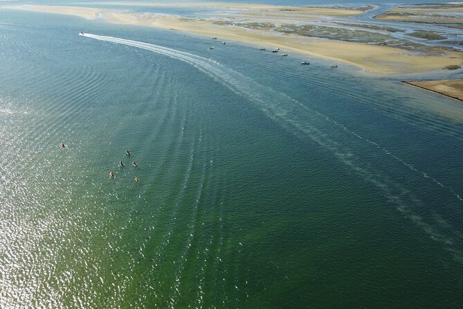 2 Hours Kayak Island Tour in the Natural Park of Ria Formosa - Kayaking Through the Calm Waters