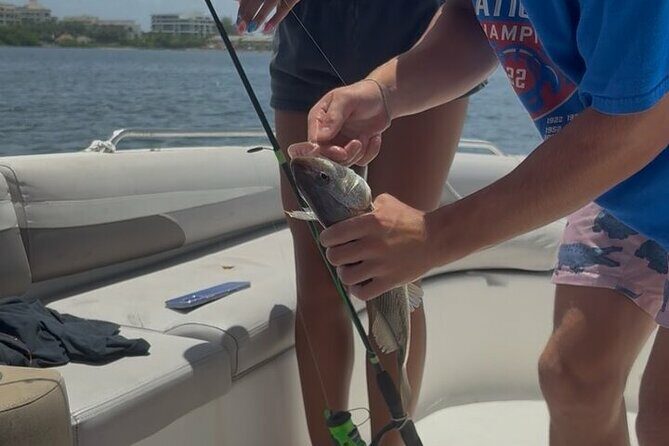 2 Hours Miami Private Fishing Experience - A Practical Look at the Experience