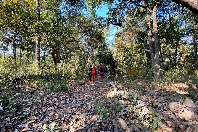 2 Hours Nature Walk in Chitwan National Park - Guided Nature Walk