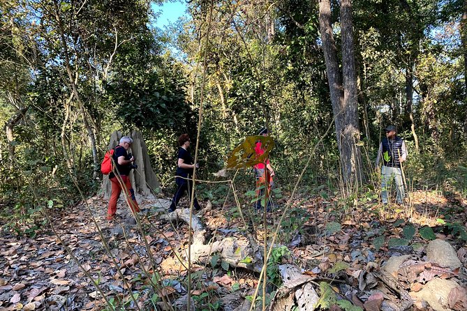 2 Hours Nature Walk in Chitwan National Park - Tour Operator