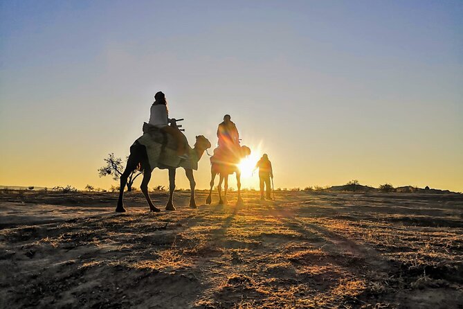 2 Hours of Camel Safari in Cappadocia - Meeting and Pickup Logistics