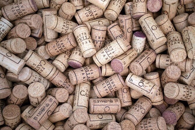 2 Hours of Classic Tasting in Sicily - Accessibility and Age Requirement