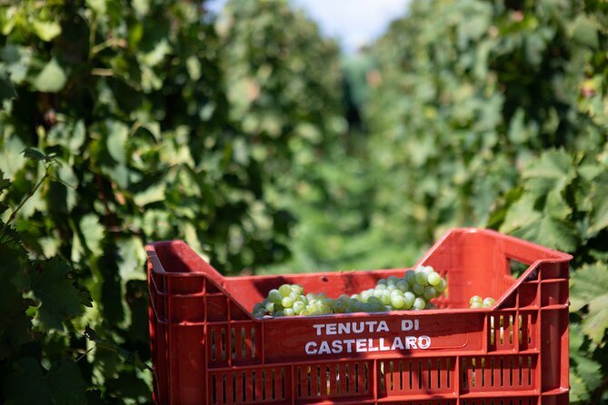 2 Hours of Classic Tasting in Sicily - Cancellation Policy