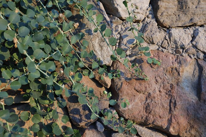 2 Hours of Classic Tasting in Sicily - About the Aeolian Islands