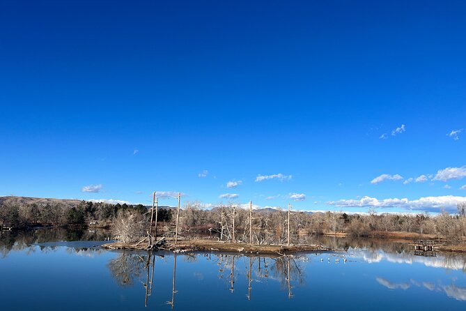 2 Hours of Mindful Bird Watching Near Denver - Reviews and Ratings