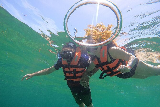 2 Hours of Snorkel at Puerto Morelos National Park - Preparing for the Snorkel Experience