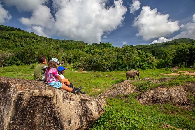 2 Hours Phuket Ethical Elephant Nature Park Visit - Tour Overview and Highlights