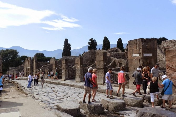 2 Hours Pompeii Tour With Local Historian - Ticket Included - Pompeii Archaeological Site