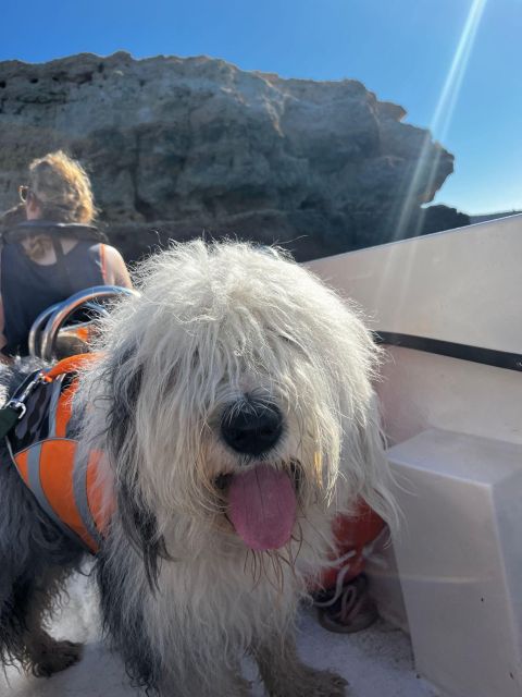 2 Hours Private Benagil Caves and Beaches Boat Tour - Customer Feedback