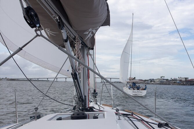2 Hours - Private Day Sail Along Historic St Augustine Bayfront - Spotting Wildlife and Historic Sites