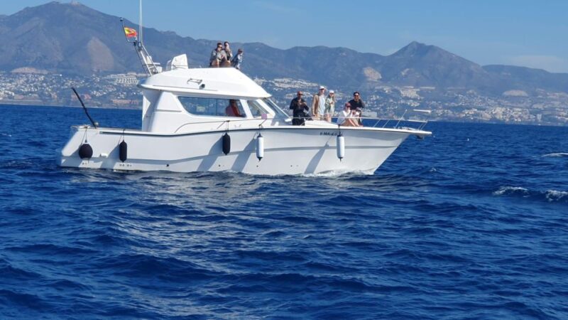 2 Hours Private Dolphin Watching Excursion - Yacht Amenities