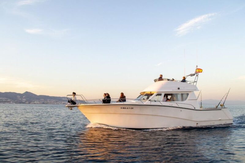 2 Hours Private Dolphin Watching Excursion - Suitability and Accessibility
