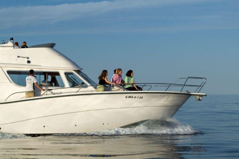 2 Hours Private Dolphin Watching Excursion - Frequently Asked Questions