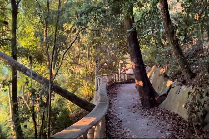2 Hours Private Guided Hiking Experience to El Miro in Jaco - Hiking Details