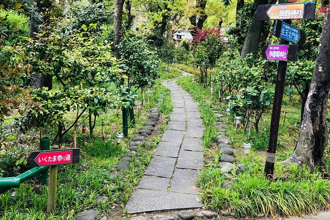 2 Hours Private Guided Walking Tour in Osaka - Tour Group Size