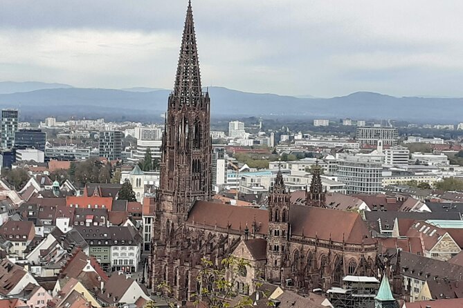 2 Hours Private Guided Walking Tour of Freiburg - Immerse in the Local Culture