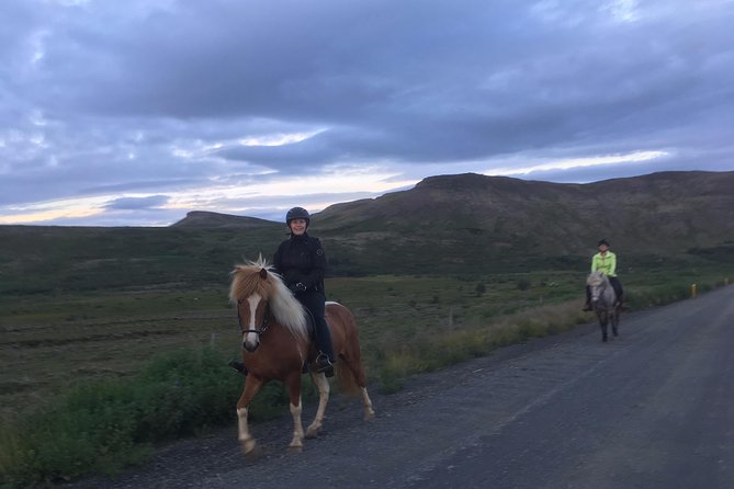 2 Hours Private Horse Riding to Lake Hafravatn, Reykjavík - Mos - Customer Reviews
