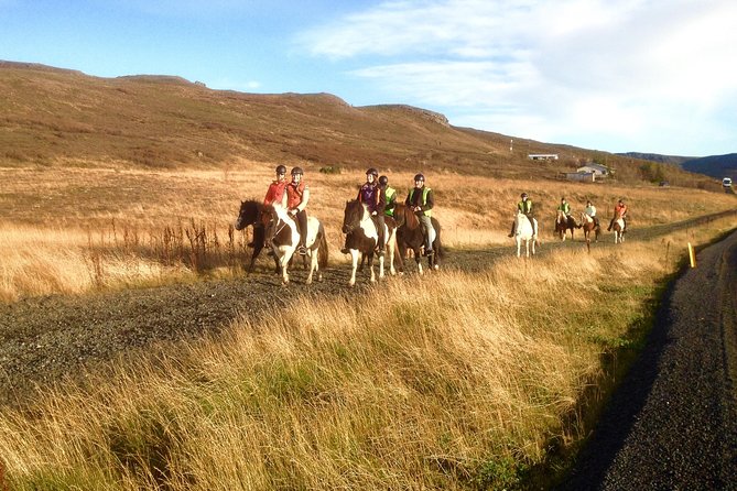 2 Hours Private Horse Riding to Lake Hafravatn, Reykjavík - Mos - Horse Riding Experience