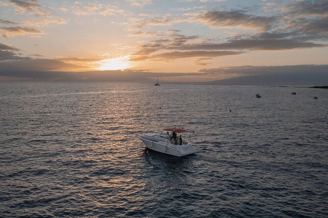 2 Hours Private Luxury Sunset Cruise in Tenerife - Quick Points
