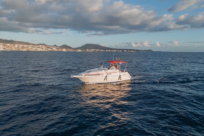 2 Hours Private Luxury Sunset Cruise in Tenerife - Customer Testimonials and Feedback