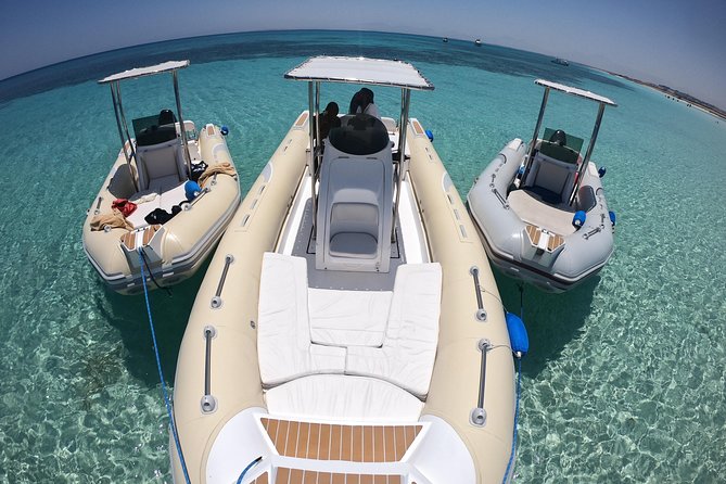 2 Hours Private Snorkeling & Island Speed Boat Tour - Experience Highlights