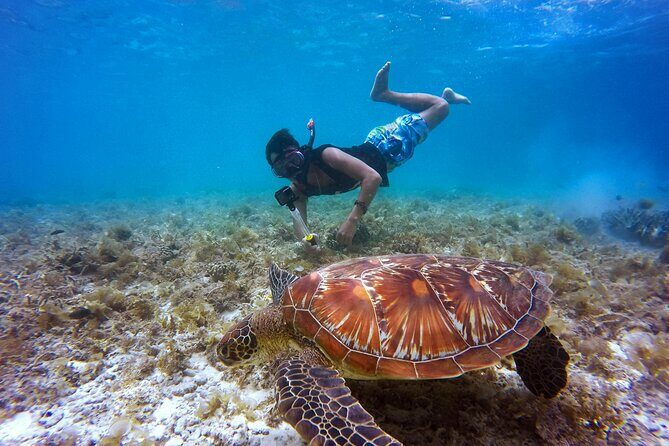 2 hours Private Snorkeling tour in Unawatuna - Key Points