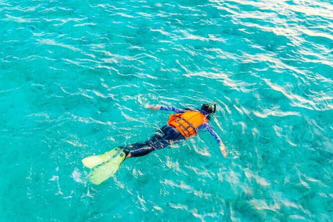 2 hours Private Snorkeling tour in Unawatuna - FAQ: Your Questions About the Snorkeling Tour Answered