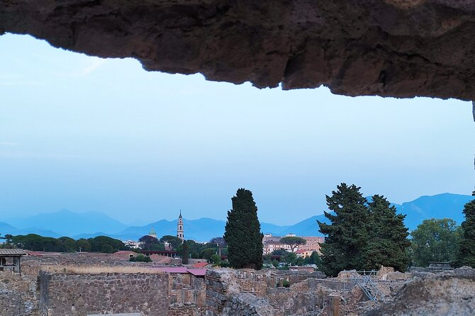 2 Hours Private Tour in Pompeii With Archaeologist - Whats Included in the Tour