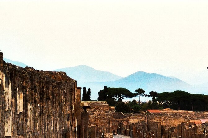 2 Hours Private Tour in Pompeii With Archaeologist - Meeting Point Details
