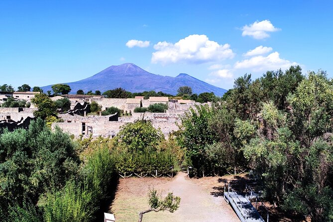 2 Hours Private Tour in Pompeii With Archaeologist - Confirmation and Accessibility