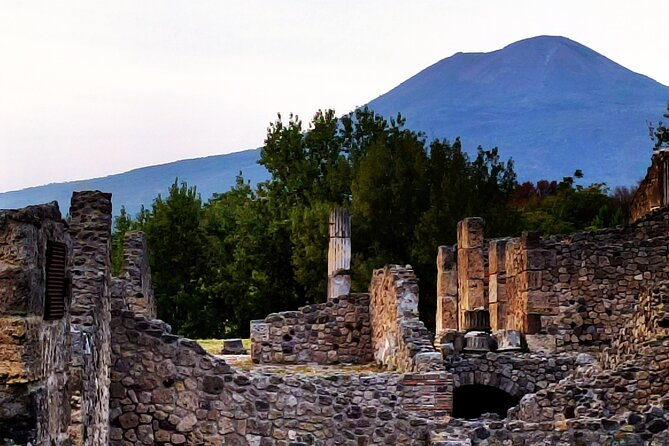 2 Hours Private Tour in Pompeii With Archaeologist - Private Tour Experience