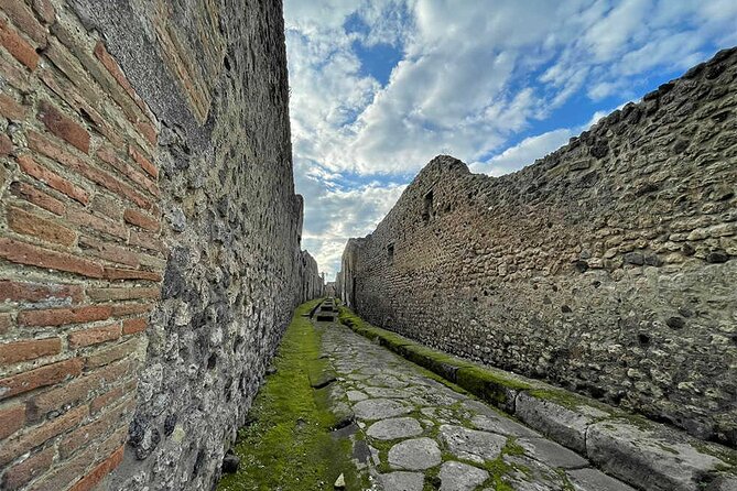 2 Hours Private Tour of Pompeii for Journey Through Time - Tour Overview