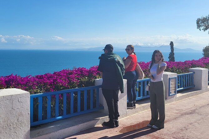 2 Hours Shared Walking Tour of Sidi Bou Said - Inclusions