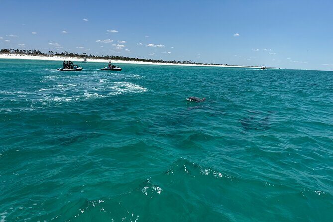 2 Hours Shell Island Jet Ski Tour - Why This Tour Offers Good Value