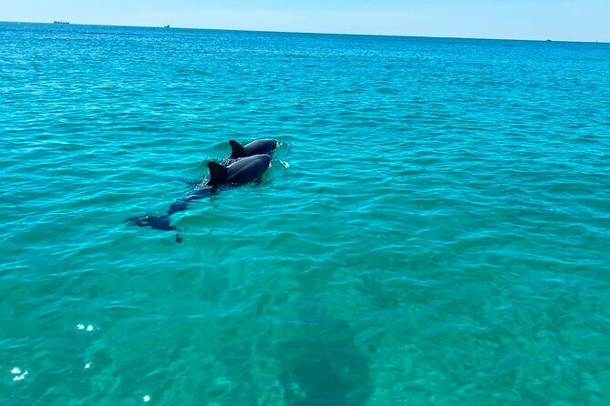 2 Hours Shell Island Jet Ski Tour - Who Will Love This Tour?