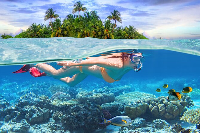 2 Hours Sip and Snorkeling Experience in Bahamas - Meeting Point and Pickup Details